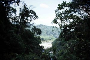 PB2 120 24-8_21253